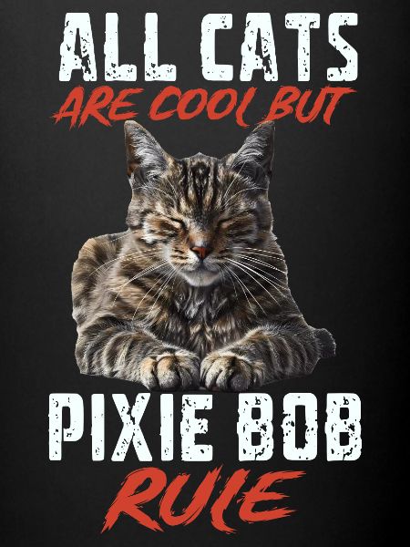Pixie bob
