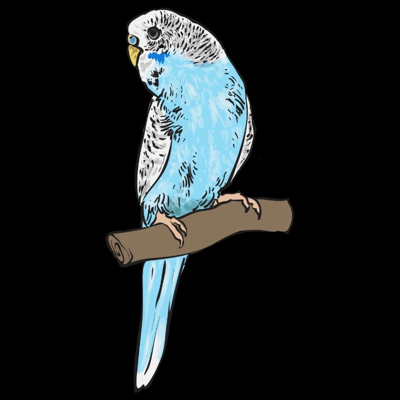 Budgerigar Parakeet Bird Pet Gift