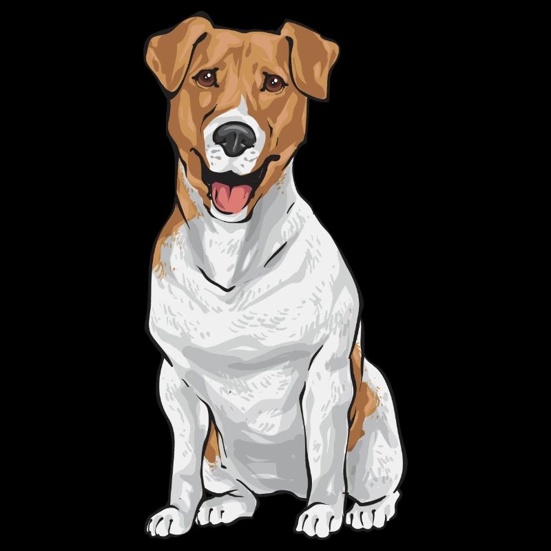 Jack Russell Terrier