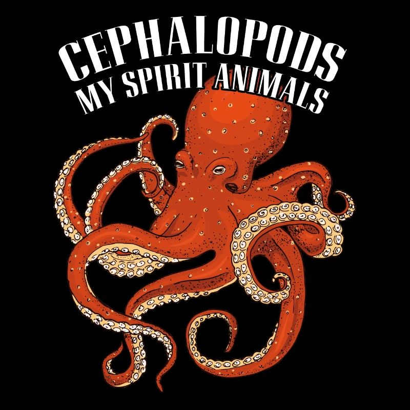 Large octopus octopus squid