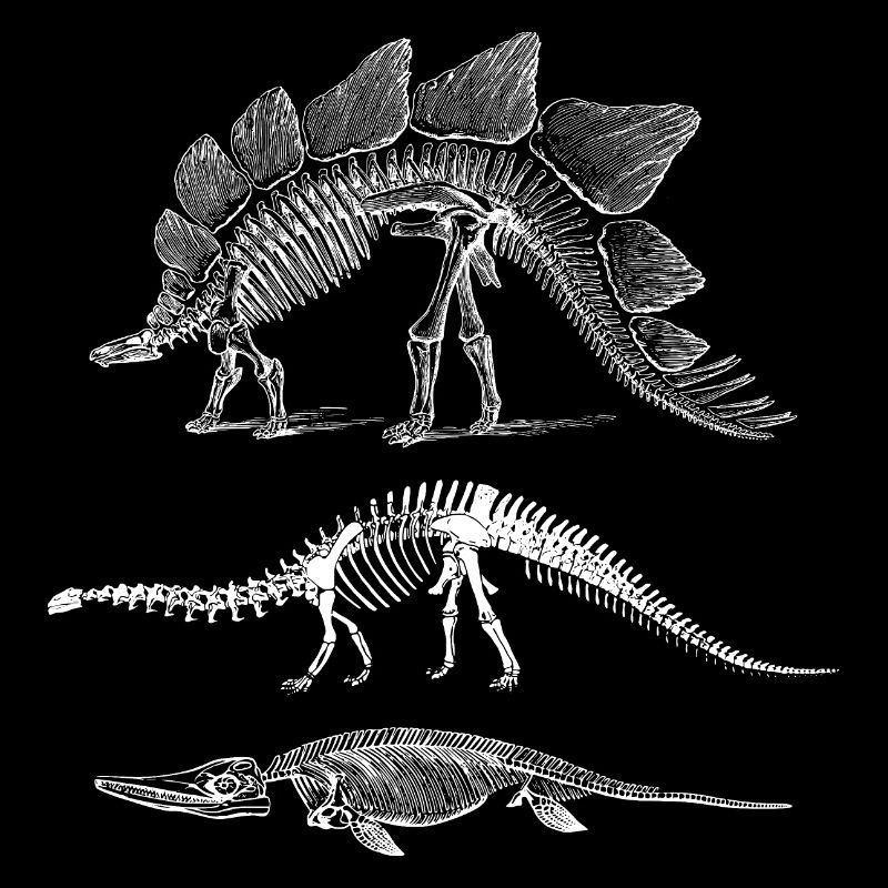 Évolution des dinosaures