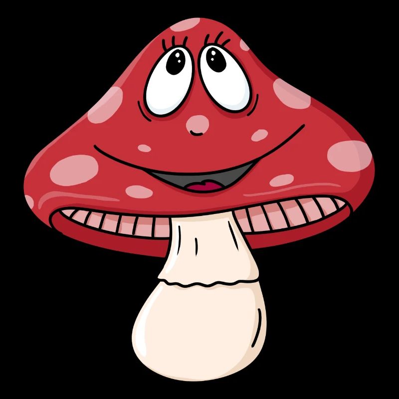 Lucky Mushroom / Fly agaric / Mushroom