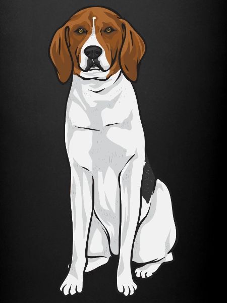 Treeing Walker Coonhound