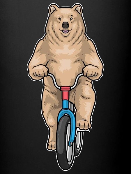 Bear Bicycle
