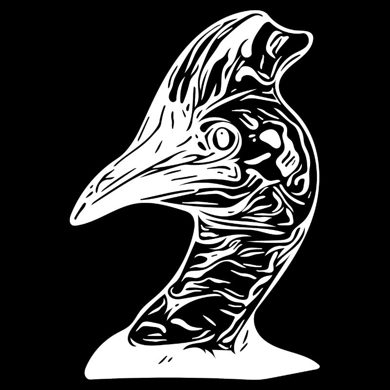 Australischer Kasuar Laufvogel