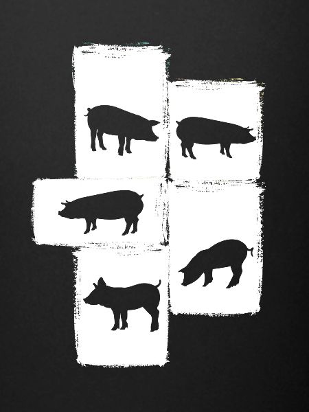 Cochon