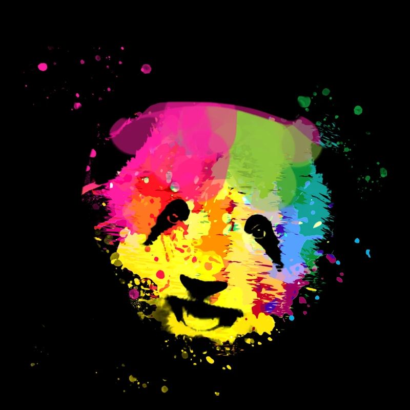 Panda, panda ours, ours, graffiti, coloré