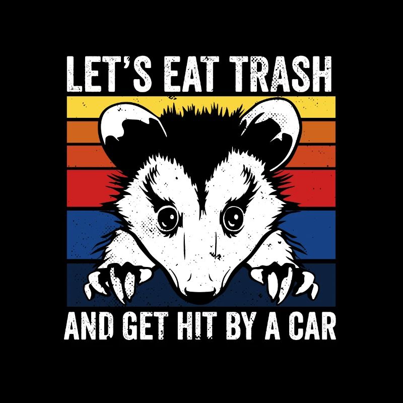 Opossum Let's Eat Trash and Get Hit by a Car