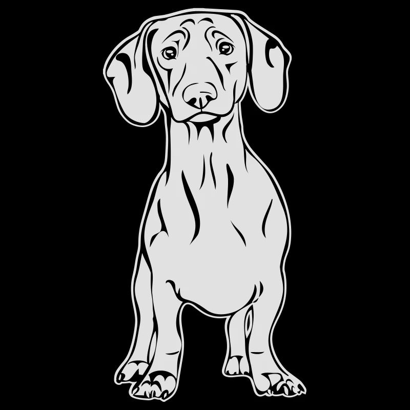 debout Teckel Teckel