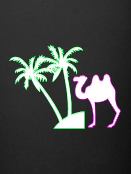 camel