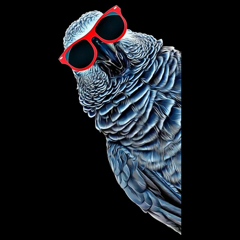 Afrikanisches Graupapagei Geschenk