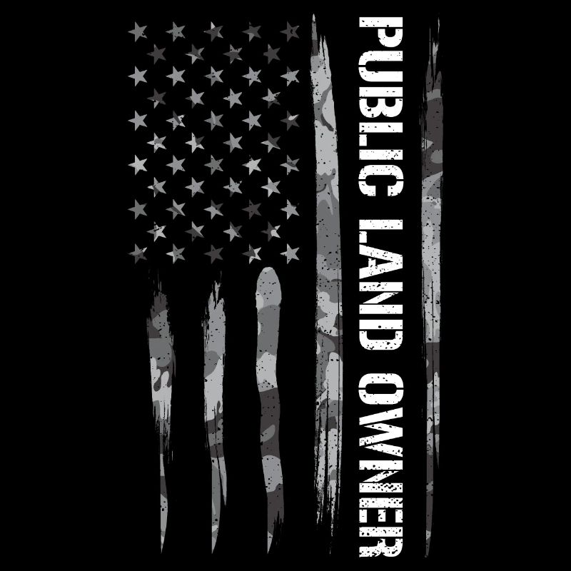 Propriétaire foncier public - Drapeau américain