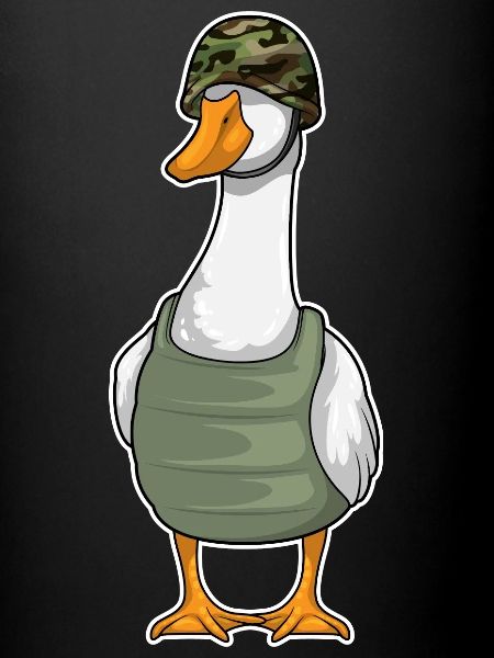 Ente Soldat Helm