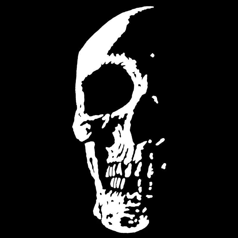 Skull in the Darkness