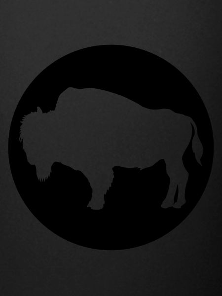 bison
