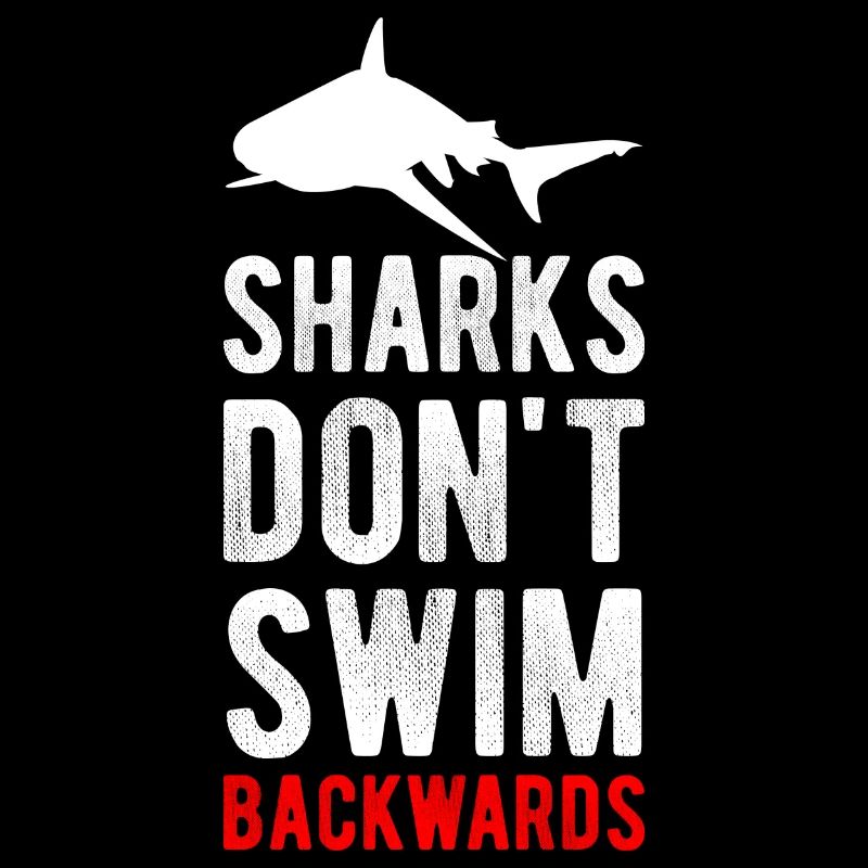 Shark Shark Fish Water