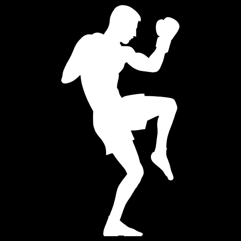 Boxer silhouette, powerful martial arts design