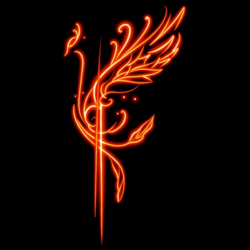 Firebird Phoenix neon style orange / red