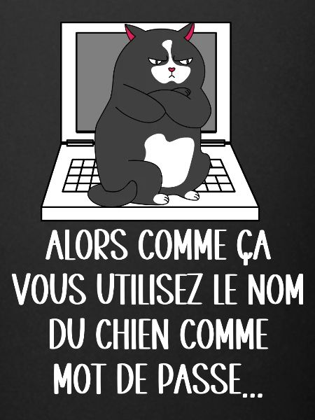 chat jaloux