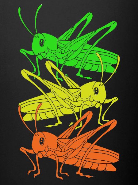 Grasshopper