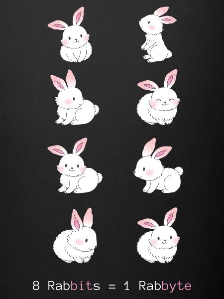 8 Lapins = 1 Rabbyte