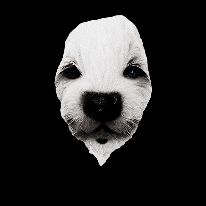 Visage de chiot
