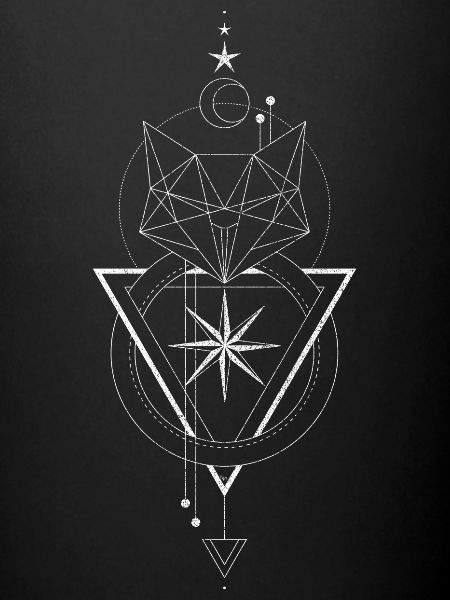 Geometric cat compass
