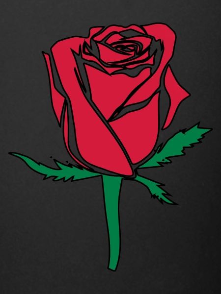 fleur rose