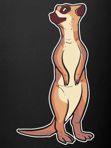 Suricate