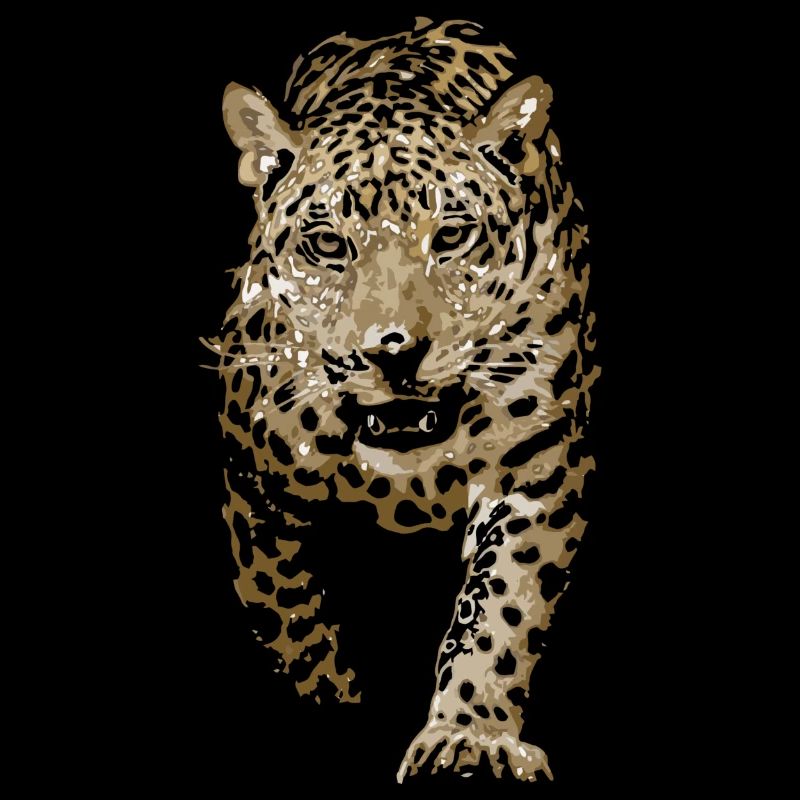 Leopard, Indian Leopard, Persian Leopard