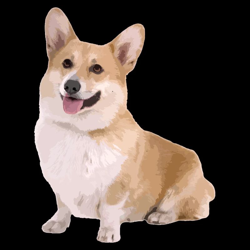 Corgi