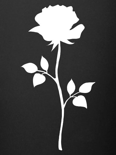 rose