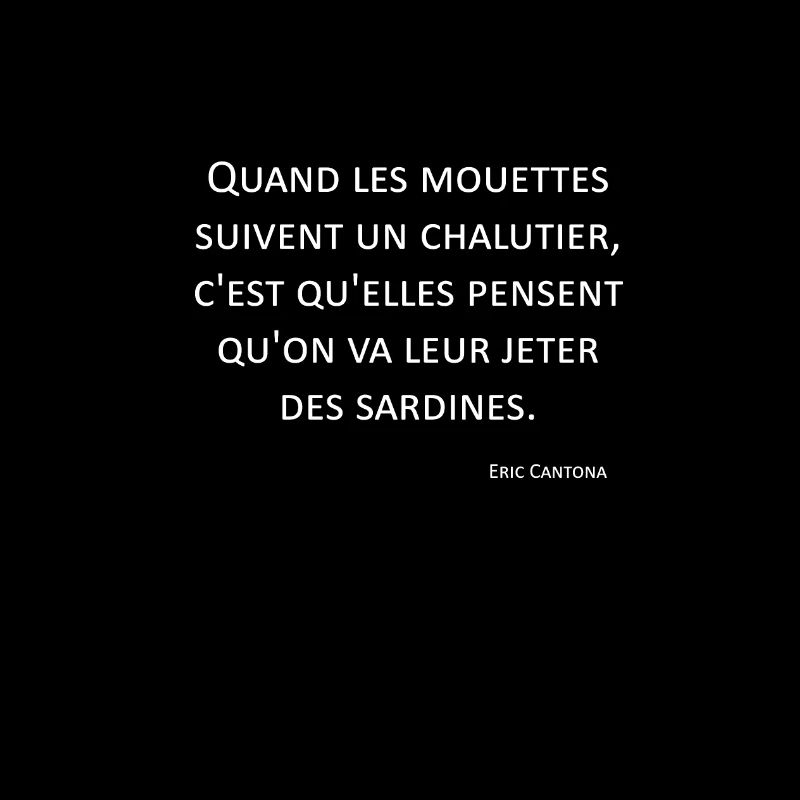 Mouettes - Eric Cantona