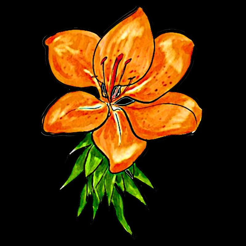 LILY
