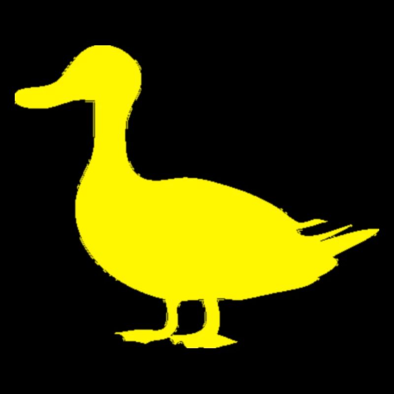 Canard canard