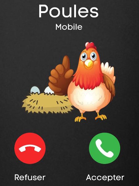 appel des poules