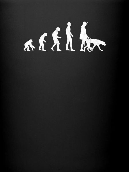 Vizsla Evolution