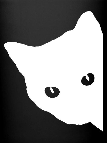 Visage de chat blanc