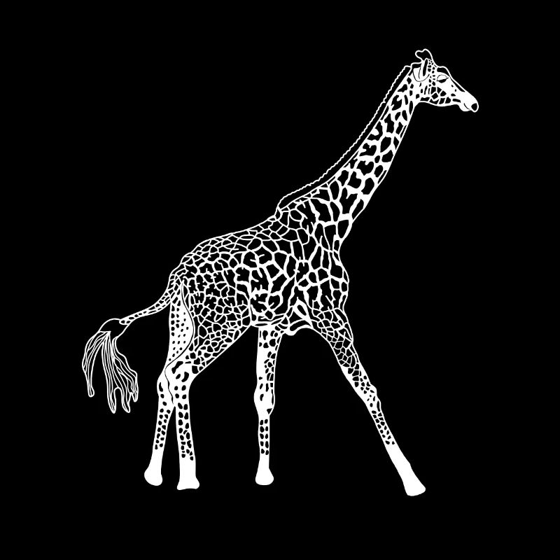 Giraffe weiß Struktur