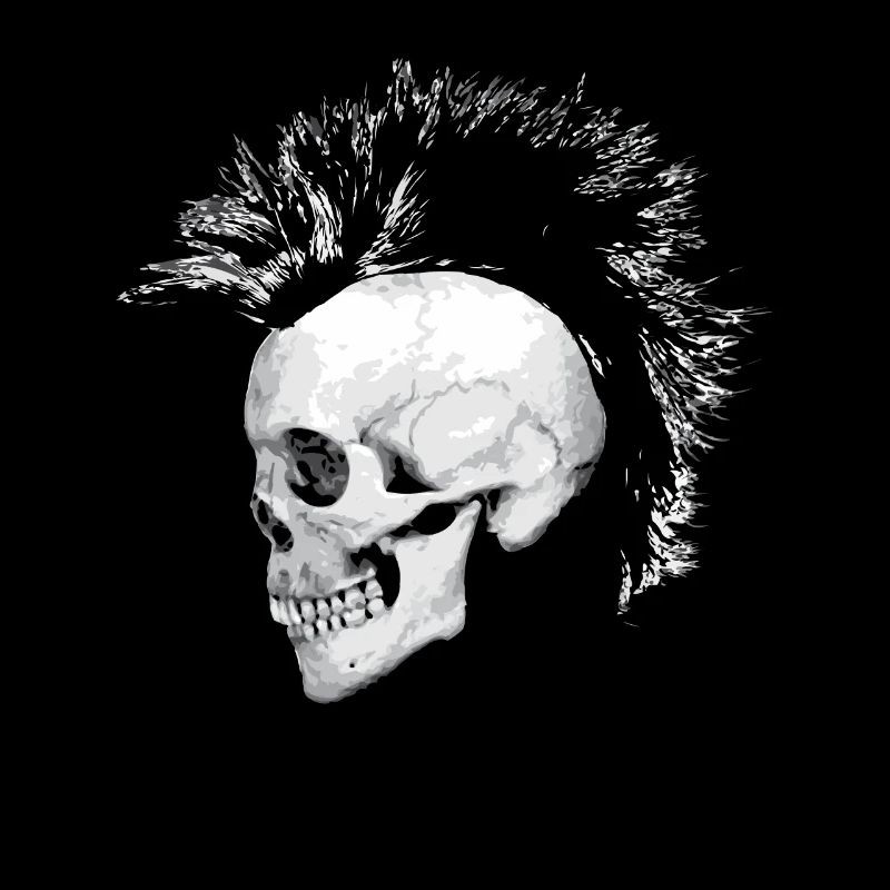 punk skull