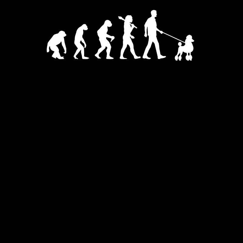 Evolution des Caniches