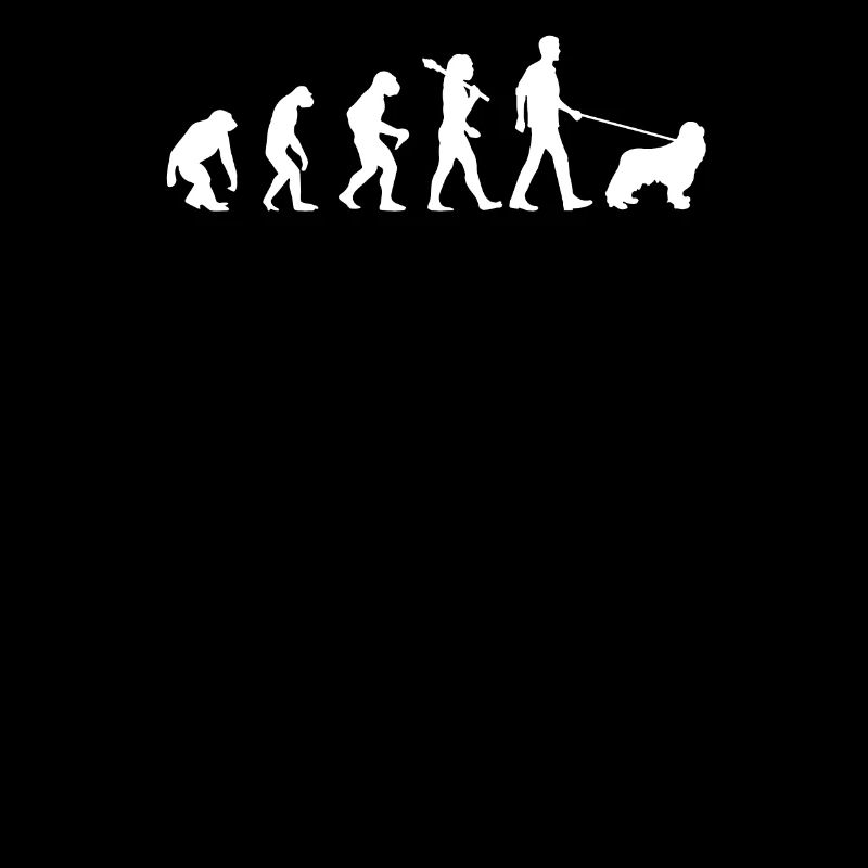 Evolution des cockers