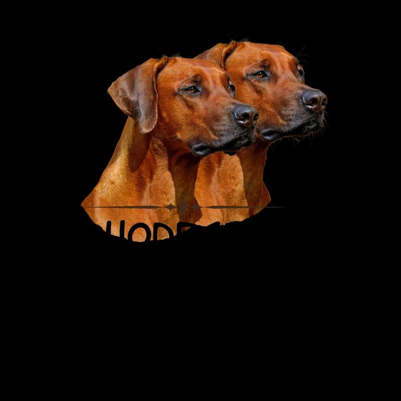 Rhodesian Ridgeback