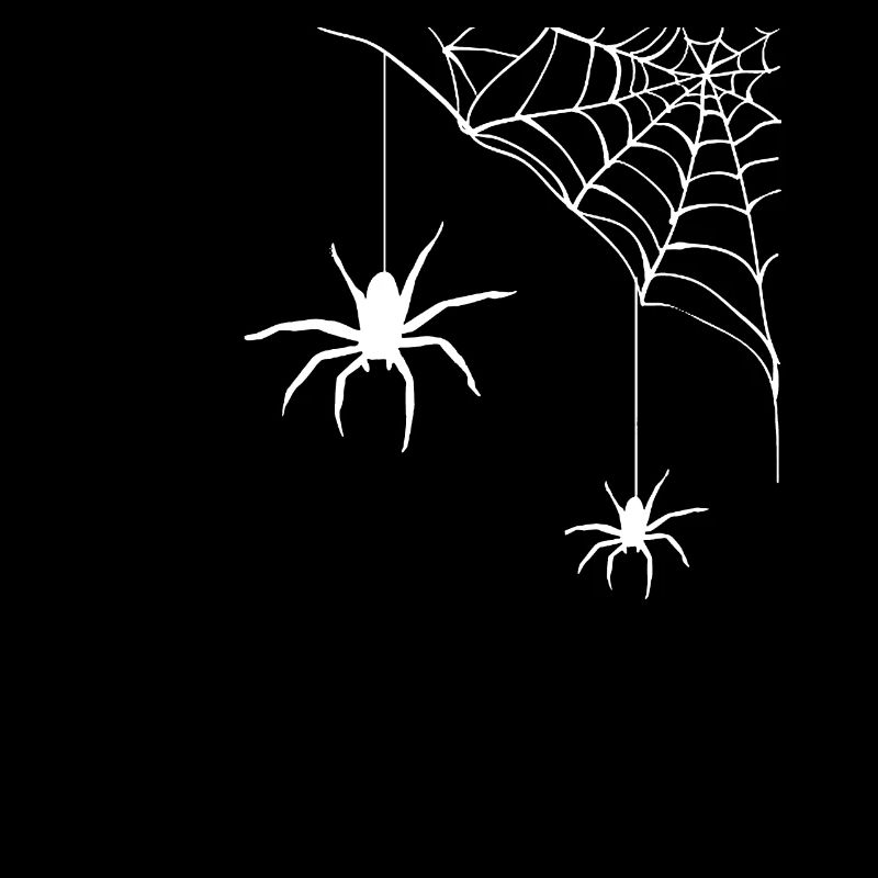 Araignée - toile d'araignée