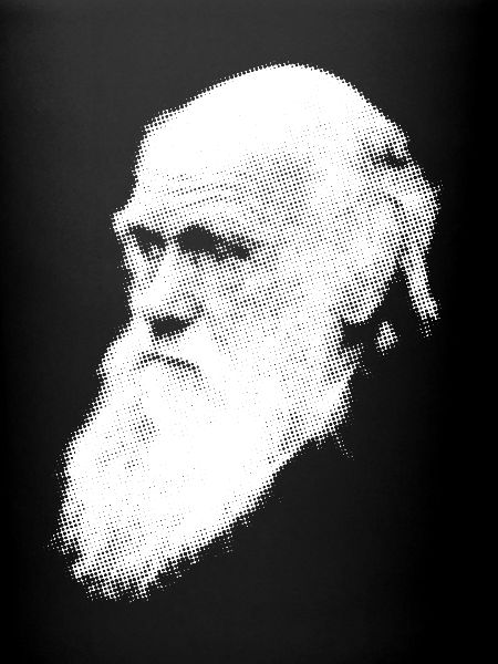 Darwin