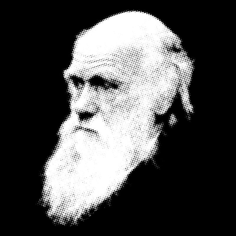 Darwin