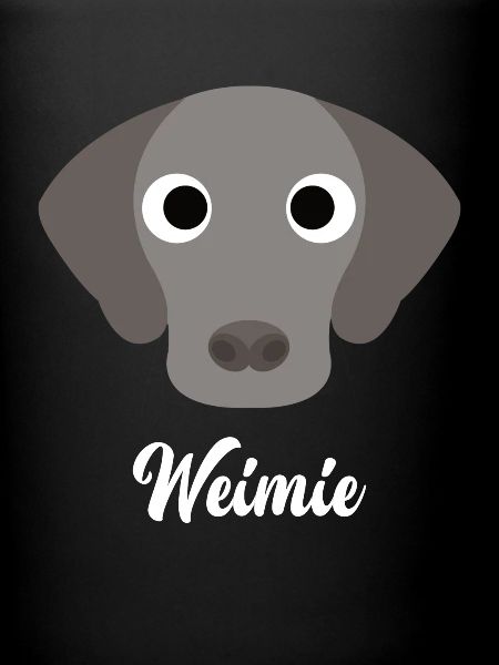 Weimie - Weimaraner
