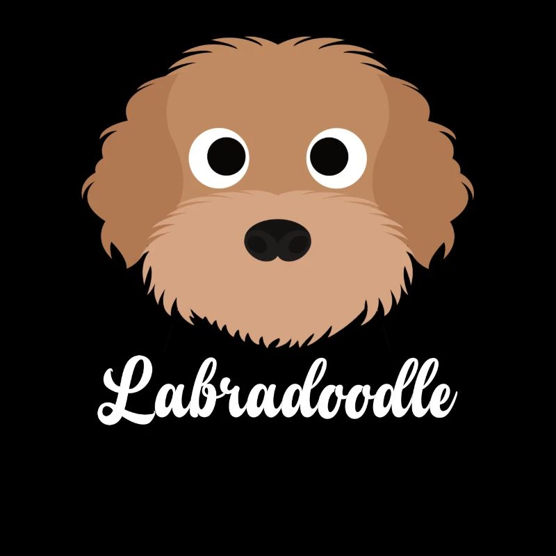 Labradoodle