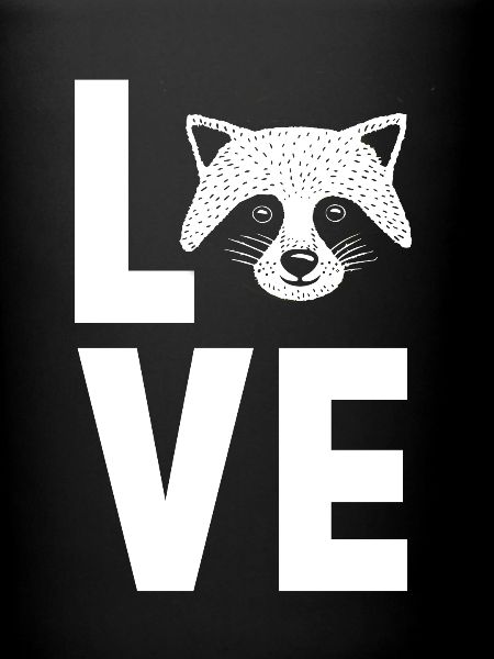racoon