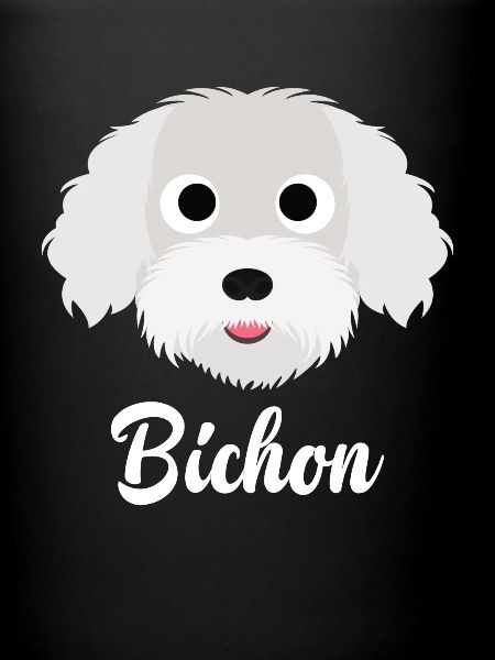 Bichon - Bichon Frise